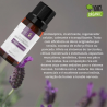 Óleo Essencial De Lavanda Francesa - 10ml - Eccos Cosméticos