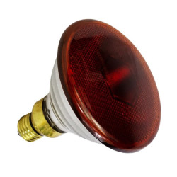 Lâmpada Infravermelho 150W Infralight iRed Lamp