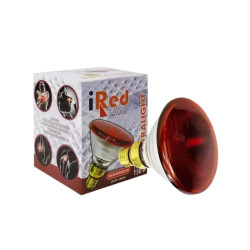 Lâmpada Infravermelho 150W Infralight iRed Lamp