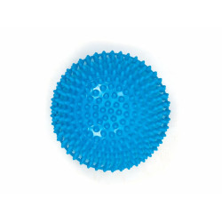 Mini Bola Bosu - Acte